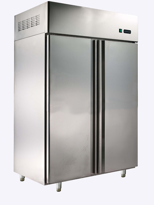 Refrigerador ereto comercial da porta dobro
