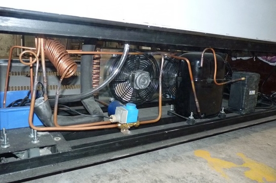 Congelador da mostra do gelado de 10 recipientes com o Danfoss sob a parte inferior
