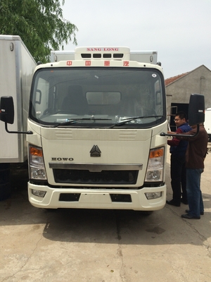 O anúncio publicitário do dever da luz de HOWO transporta o congelador de refrigerador Van Caixa Caminhão para a carne