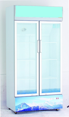 Grande congelador de refrigerador comercial manual R134a/125g da porta dobro, 430 litros